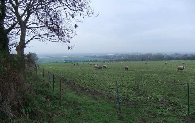 View from Well Lane towards the well.